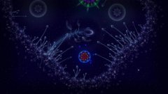 成熟干細胞可治療急性腎衰竭